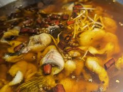 -雲蜀龙阁·金牌水煮鱼(方庄店)