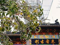 -灵顺寺