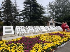-日照海滨国家森林公园