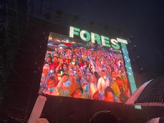 -黄海国家森林公园