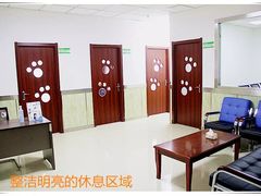 二楼休息区及猫科犬科独立住院部-博纳宠物医院