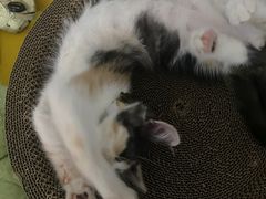 -万达广场(南宁青秀店)