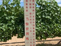 -源石酒庄