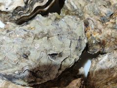 -香逸山自助火锅