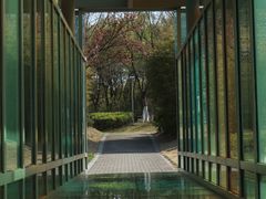 -白塘生态植物园