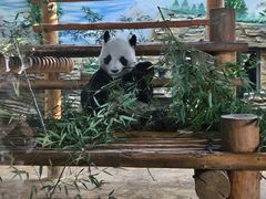 -西霞口神雕山野生动物世界