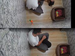 -宠物之家Pets Home 宠物寄养酒店