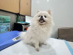 -半岛宠物医院24小时(西派城店)