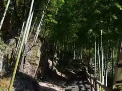 -藏龙百瀑风景区