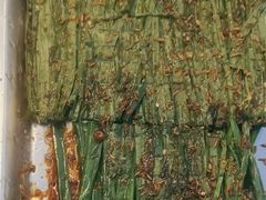 -清真·馬坡二旦烧烤(人生一串拍摄店)