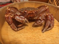 红毛蟹-蟹田居·活蟹料理(东城店)