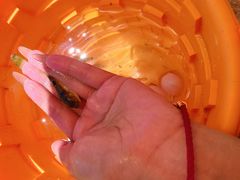 -东戴河风景区-止锚湾