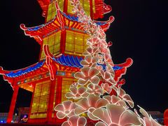 -洛阳市隋唐城遗址植物园