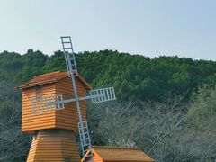 -苏州上方山国家森林公园