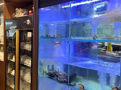 -皮蛋弟砂锅店(总店)