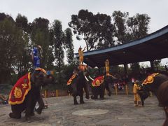 -云南民族村