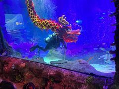 -沈阳海洋探索中心