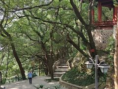 -乌山风景区