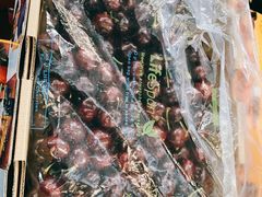 -西郊国际农产品交易中心