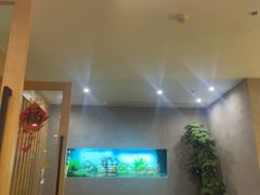 -松临·铁板烧&Omakase(神农店)