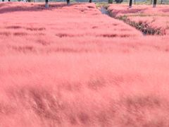 -汉长安城未央宫国家考古遗址公园