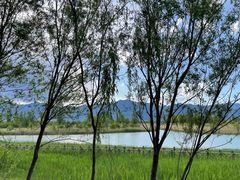 -野鸭湖国家湿地公园