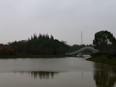 -上海海湾国家森林公园