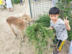 -北京麋鹿生态实验中心