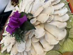 -山大王菌莊