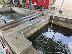 -北京龙庆四季香农家饭庄·灶台鱼·碳烤虹鳟鱼(龙庆峡店)