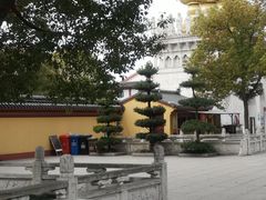 -上海东林寺(金山区)