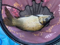 -酷鱼垂钓CLUB(朝阳区博大路店 )