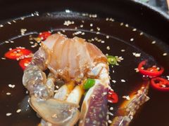 -KimPro 辛普乐概念韩餐