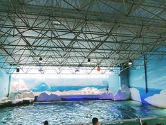 -秦皇岛乐岛海洋王国