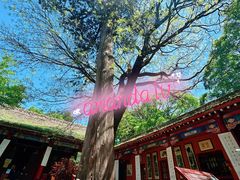 -少华山国家森林公园