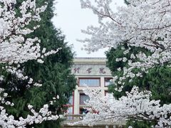 -武汉大学-樱园