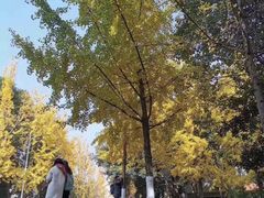 -重庆工商大学(南岸校区)