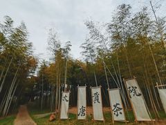 -大唐贡茶院