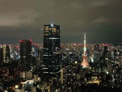 -六本木新城展望台(东京城市景观)