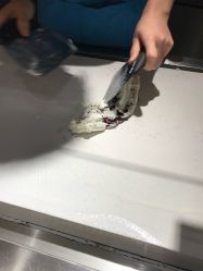 大堂-朵莉丝希腊冻酸奶