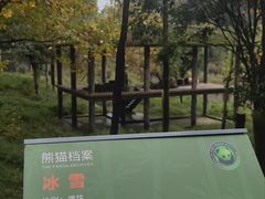 -中国大熊猫保护研究中心雅安碧峰峡基地