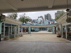 -海合安成都极地海洋公园
