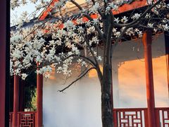 -堤角公园