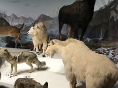 -陕西自然博物馆