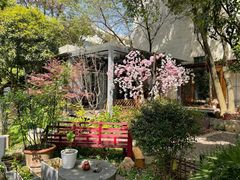 -谷咖啡·鲜花绿植花园餐厅