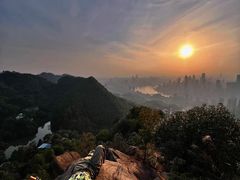 -南山植物园