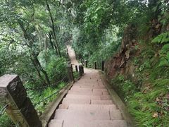 -青城山