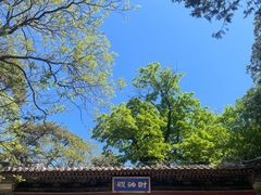 -潭柘寺景区