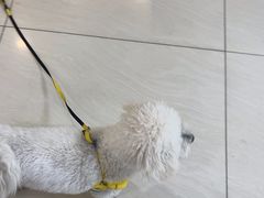-美联众合动物医院·24h京西诊疗中心