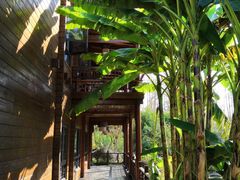 -合肥滨湖国家森林公园